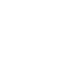 SEGA